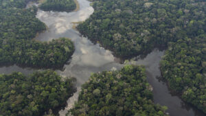 Amazonasregenwald schrumpfte bereits drastisch