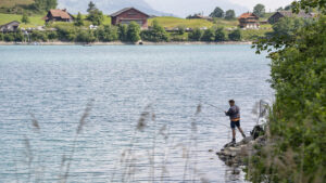 Mensch beeinflusst 90 Prozent der Fisch-Lebensräume in der Schweiz