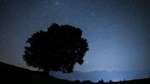 Sternschnuppen des Leonidenstroms am Schweizer Nachthimmel