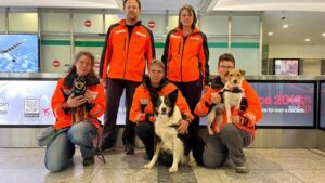 Schweizer Suchhunde kehren aus spanischem Flutgebiet zurück