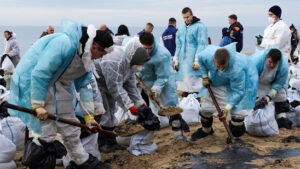 Wissenschaftler kritisieren Aufräumarbeiten nach Öltanker-Havarie