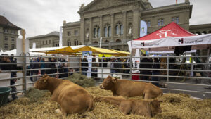 Landwirtschaft soll bis 2029 gleich viel Geld erhalten wie bisher