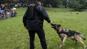 Polizeihund findet schlafenden Flüchtigen im Wald im Wallis