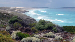 Surfer nach Haiangriff in Australien vermisst