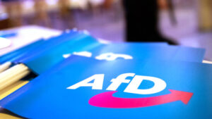 Regierung: AfD-Aktion mit «Abschiebetickets» «geschmacklos»