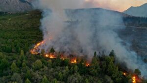 Ein Toter bei Waldbränden in Patagonien